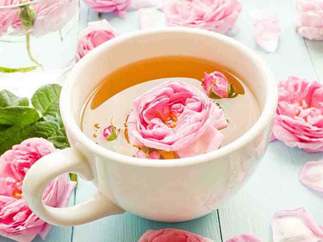 Dùng trà hoa hồng mỗi ngày rất bổ dưỡng