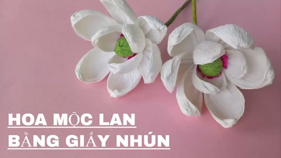 Cách làm hoa mộc lan bằng giấy nhún